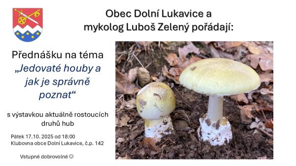 přednáška