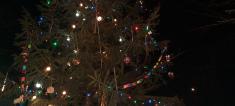 Zdobení vánočního stromku na návsi 23.12.2020